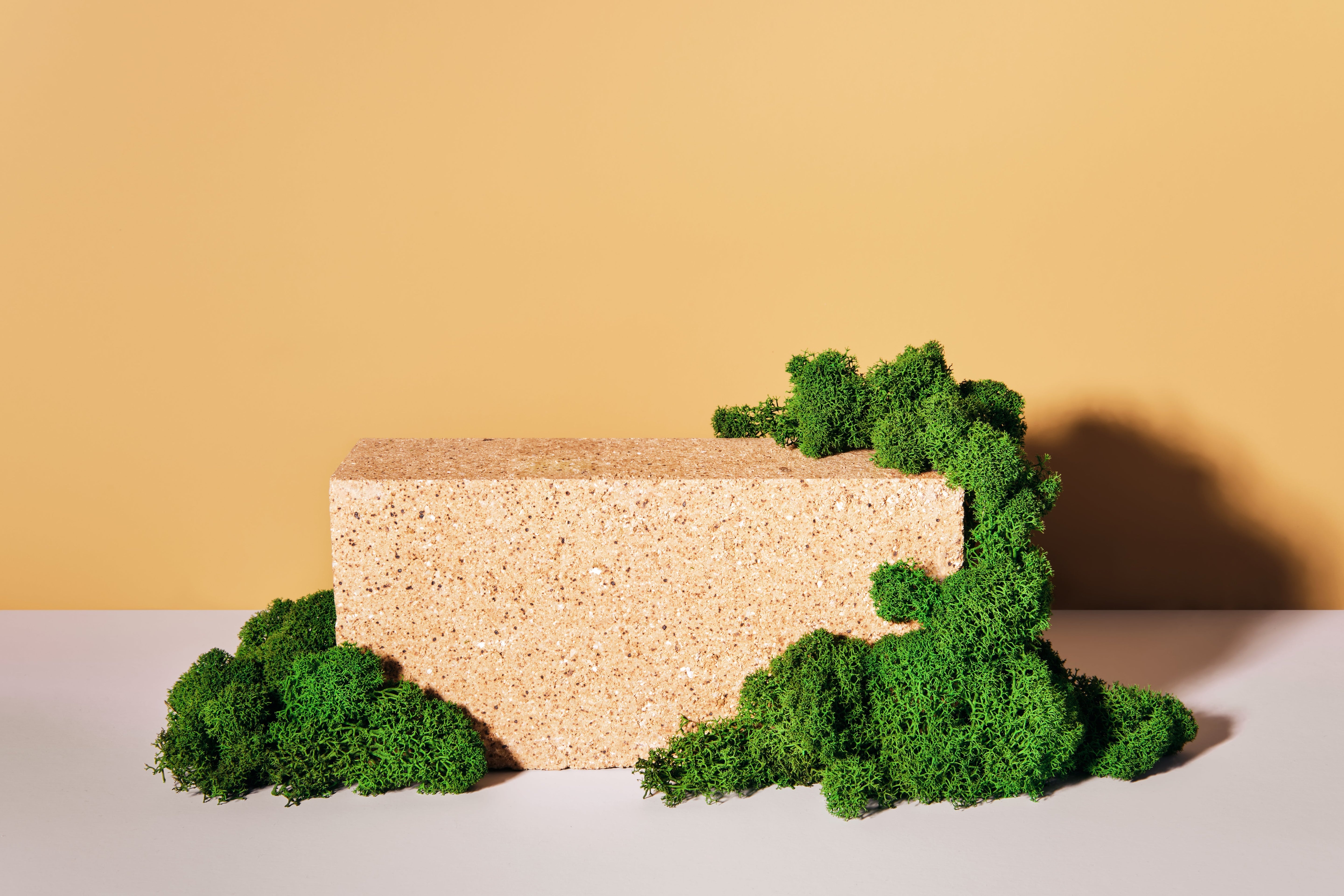 What Are Bio-Based Building Materials?